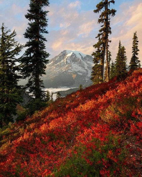 Thumbnail of p-ctq0mspnneq-4db86d4f968b4b38 0