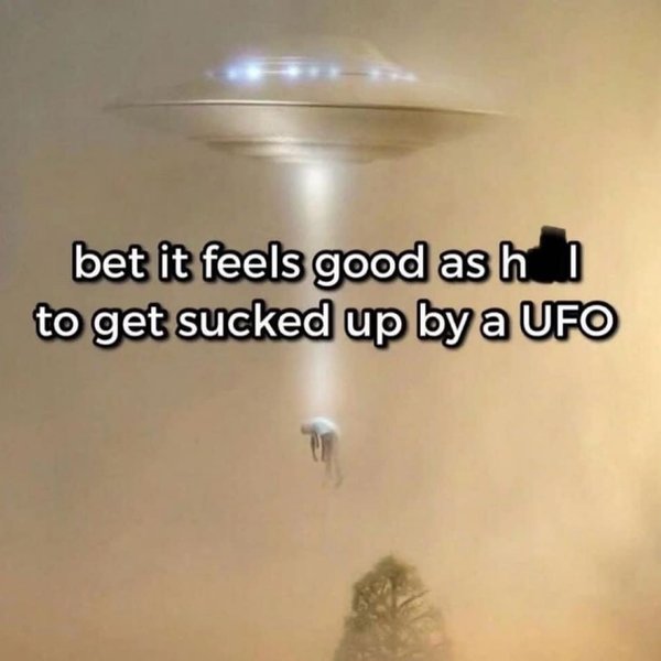 Thumbnail of p-c7pjxx5yzem-4dda377e8bcc4433 5