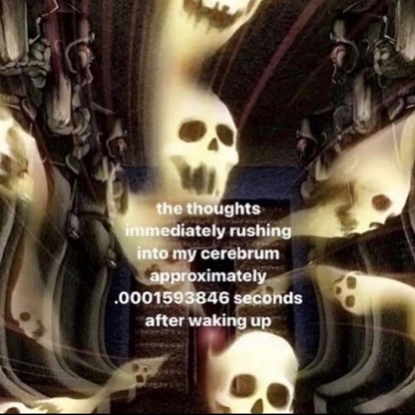 Thumbnail of p-c7pjxx5yzem-4dda377e8bcc4433 9