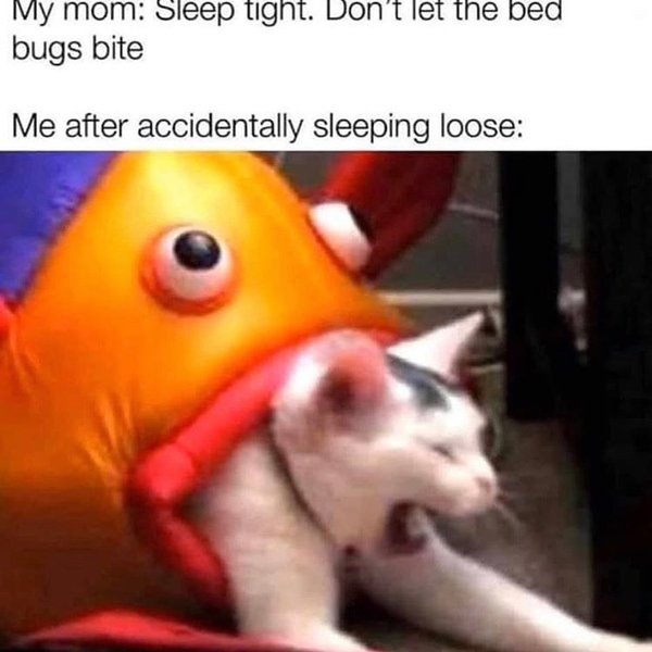 Thumbnail of b-7jjadjjr-4e30dd3169244835 0