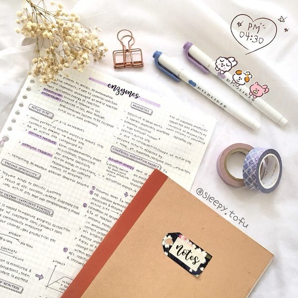 Thumbnail of p-bwj4qcebffi-4e48f1a2961c47a4 0