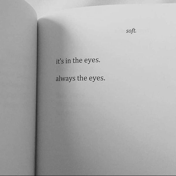 Thumbnail of p-c23pn2jibcc-4e497dead0494002 1