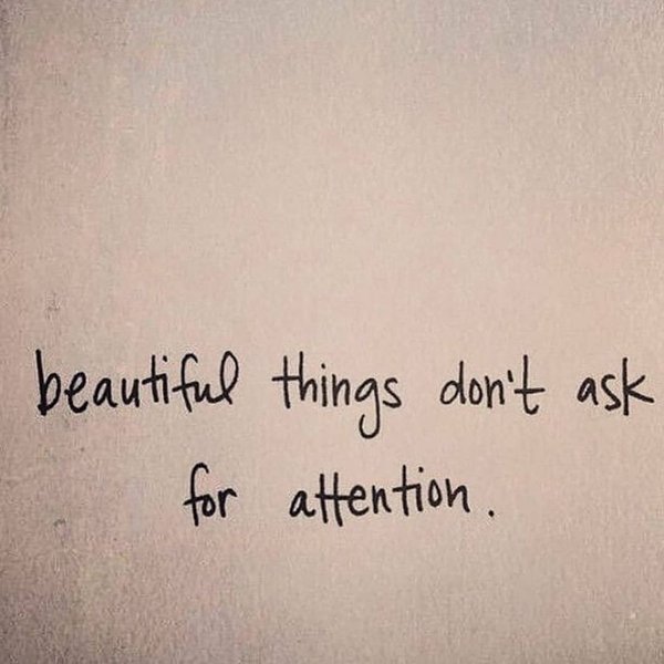 Thumbnail of p-c23pn2jibcc-4e497dead0494002 2