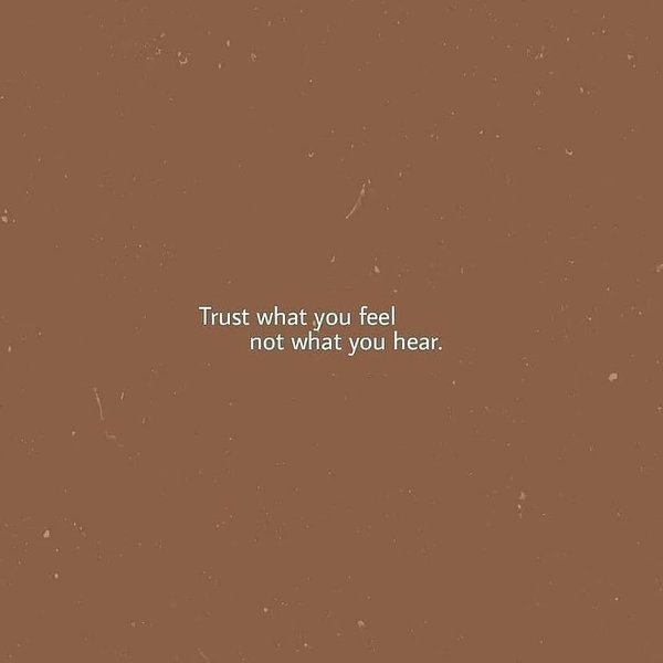 Thumbnail of p-c23pn2jibcc-4e497dead0494002 4