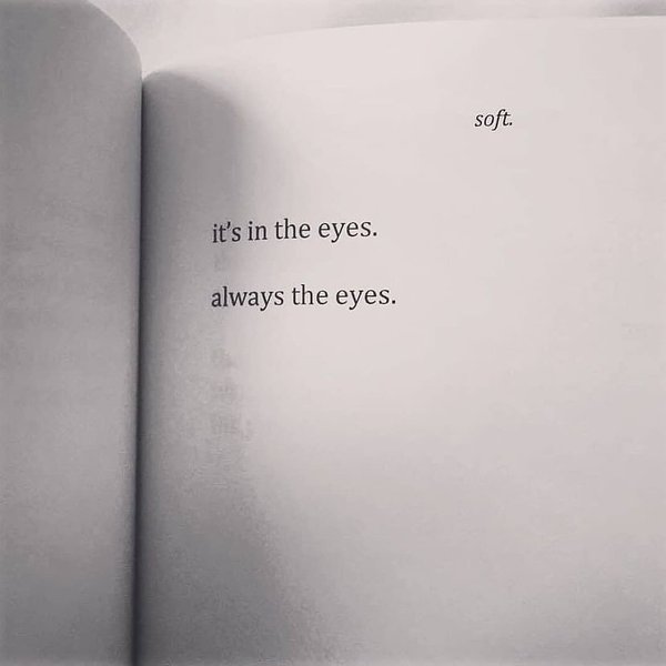 Thumbnail of p-c23pn2jibcc-4e497dead0494002 8