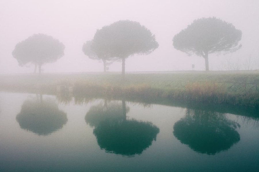 Thumbnail of p-cwqfcv8imb1-4e5ad4ae02644195 0