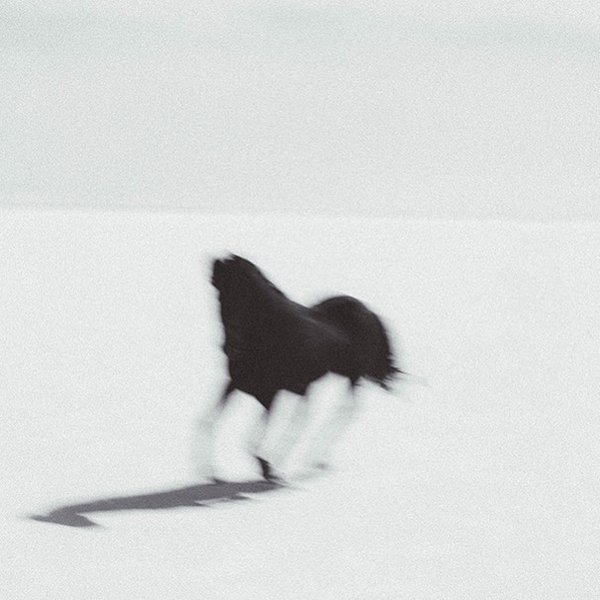 Thumbnail of p-b6ooivth446-4e5c1c2aaa144b62 0