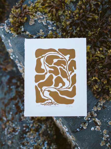 Thumbnail of p-dlti40wonsf-4e61c53912e54132 4