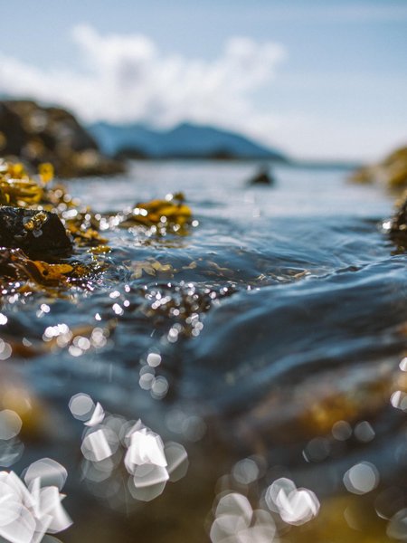 Thumbnail of p-dlti40wonsf-4e61c53912e54132 6