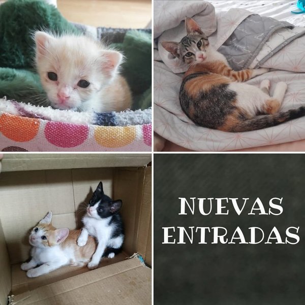 Thumbnail of p-cr6e5r5p4i2-4e8e2e5ab24a42fb 0