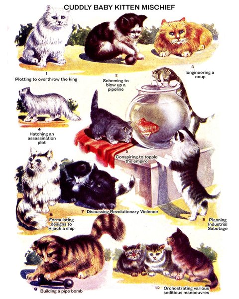 Thumbnail of p-dibja5zpc7n-4e9bf6feb10748b1 0