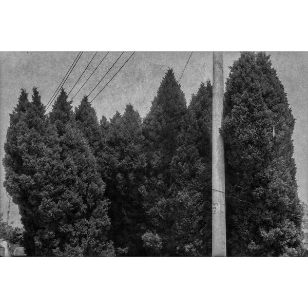 Thumbnail of p-ctpwvftl7y-4edc2f3de6214ad1 0