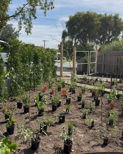 Thumbnail of p-dblgrhzzuzf-4ef79995513a42f6 2