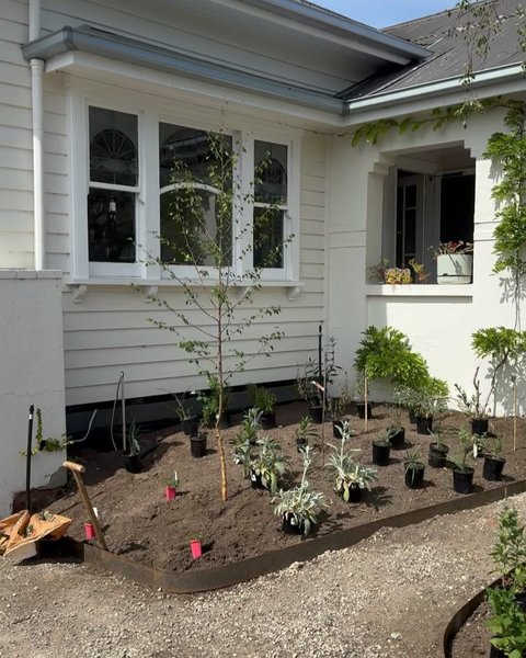 Thumbnail of p-dblgrhzzuzf-4ef79995513a42f6 4