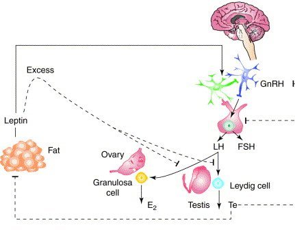 Thumbnail of www-x-com-helios-movement-status-1792478073608118582-4f7577d4fdb34cc5