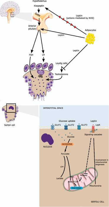 Thumbnail of www-x-com-helios-movement-status-1792478073608118582-4f7577d4fdb34cc5