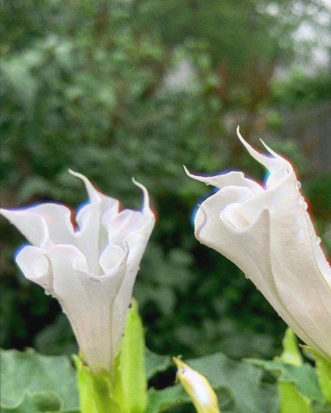 Thumbnail of p-cr9tjlomcvo-4f8ca9a1609d4490 1