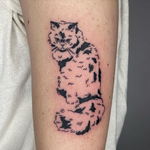 Thumbnail of cnu-tppszvd-4f948d99846a47ff 0