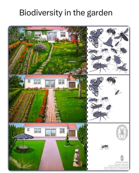 Thumbnail of ddc-ufzilqc-4fb3cd1435424b09 0