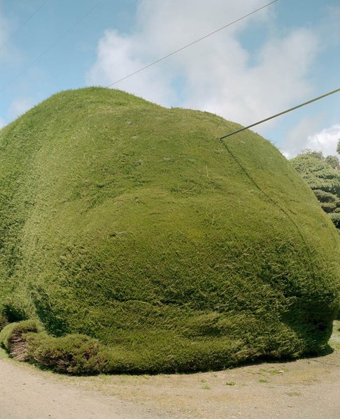 Thumbnail of ci8kc4-vwej-4fcde09855674153 0