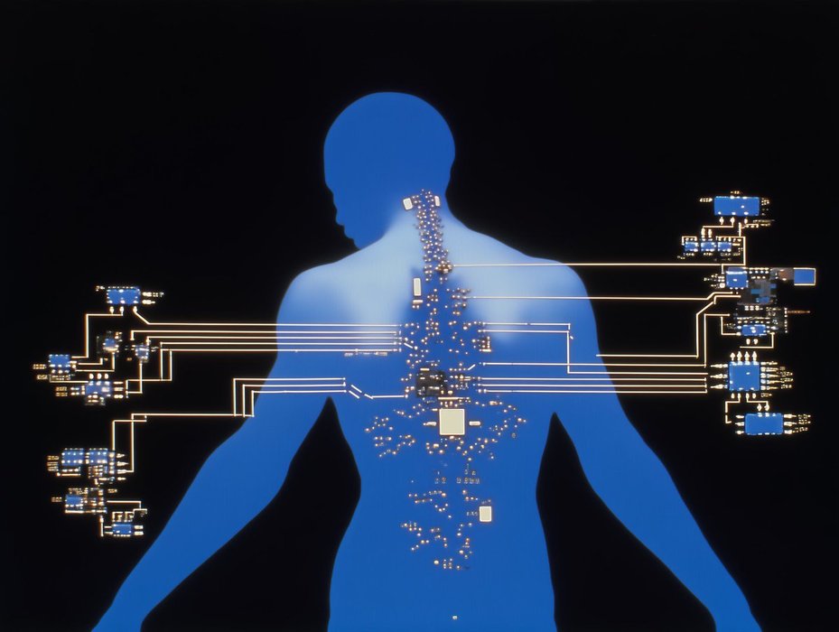 Thumbnail of www-x-com-takimunk-status-1985459573419893153-4ffcb2df606b4b04