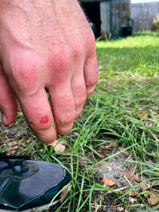 Thumbnail of www-x-com-imalexandrovich-status-1814549173313642811-4ffdc46f872d4869