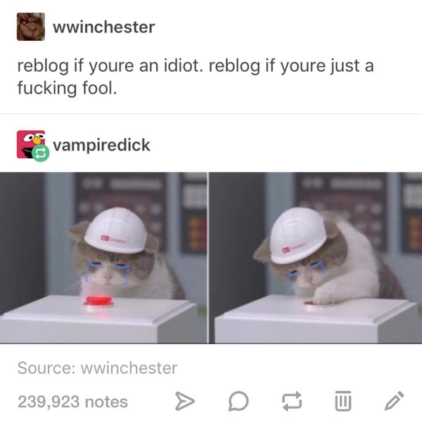 Thumbnail of p-b6o9ianfdxi-501ecd969470451d 0