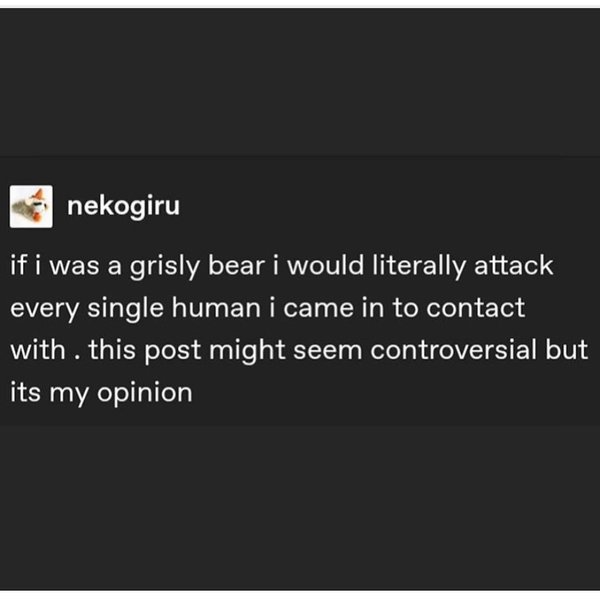 Thumbnail of p-b6o9ianfdxi-501ecd969470451d 4