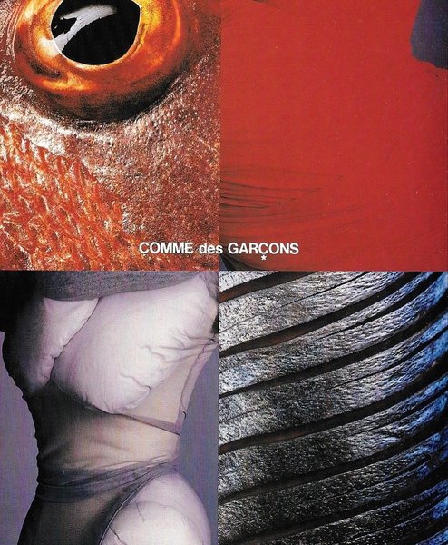 Thumbnail of www-instagram-com-p-dof2fqddq37 2