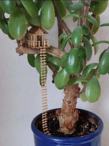Thumbnail of r-thingsforants-reddit 1