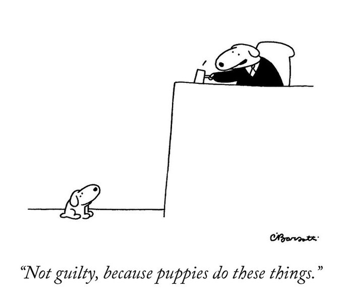 Thumbnail of b1lss8fdn-v-5097467c129d44ac 0