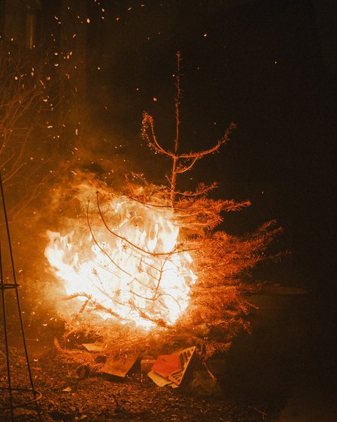 Thumbnail of p-ddseuynoyv-50a7fe7eff7144b5 0