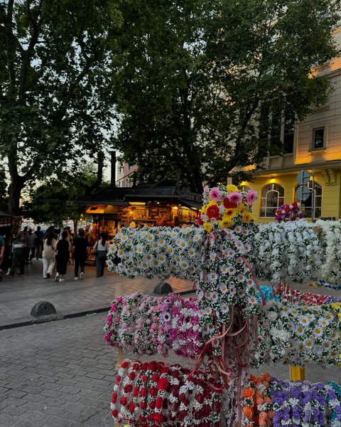 Thumbnail of p-c8mrrboodal-50d8917dd9a4431a 1