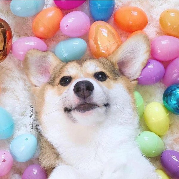 Thumbnail of bwhw7-df9b2-5138352904e7426d 1