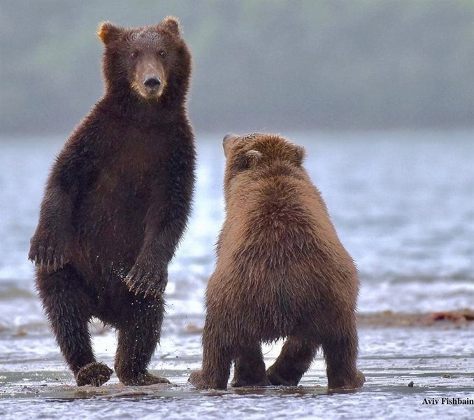 Thumbnail of b-9mkldg5t8-514ae5c9ed914ffd 0