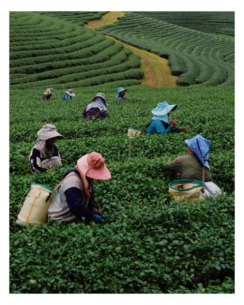 Thumbnail of ckesjs-s4op-516312571ff047a9 0