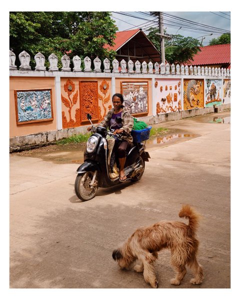 Thumbnail of ckesjs-s4op-516312571ff047a9 3