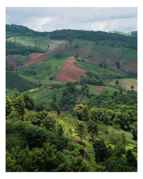 Thumbnail of ckesjs-s4op-516312571ff047a9 4