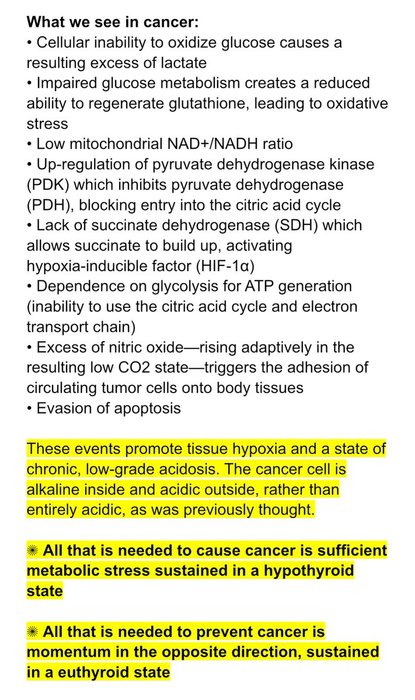 Thumbnail of www-x-com-takethiamine-status-1925638995742015791-516ddc42e8484c65