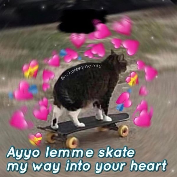 Thumbnail of p-b6rfxopoegf-518b260df19841b0 1