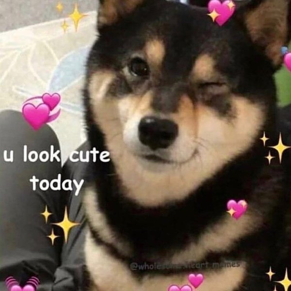 Thumbnail of p-b6rfxopoegf-518b260df19841b0 4