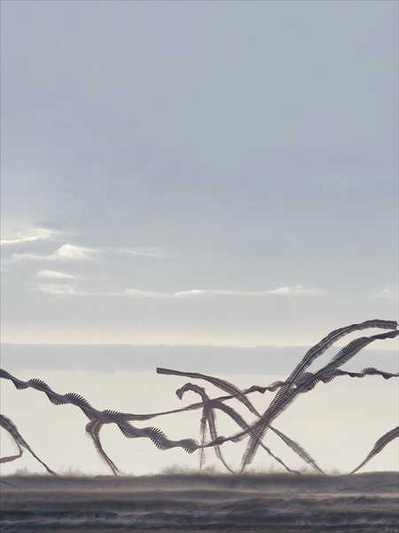 Thumbnail of p-dquzfzbdttk-51aa9405e59845d9 6