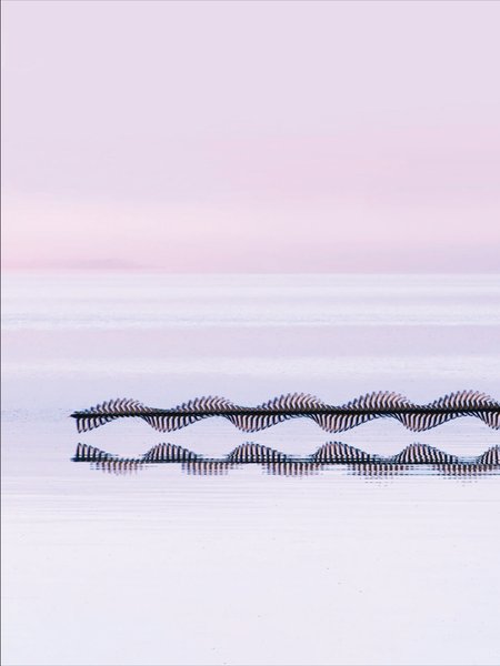 Thumbnail of p-dquzfzbdttk-51aa9405e59845d9 8