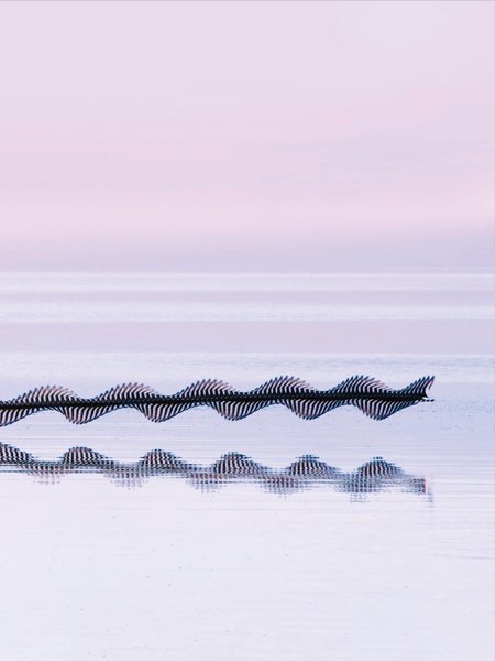 Thumbnail of p-dquzfzbdttk-51aa9405e59845d9 9