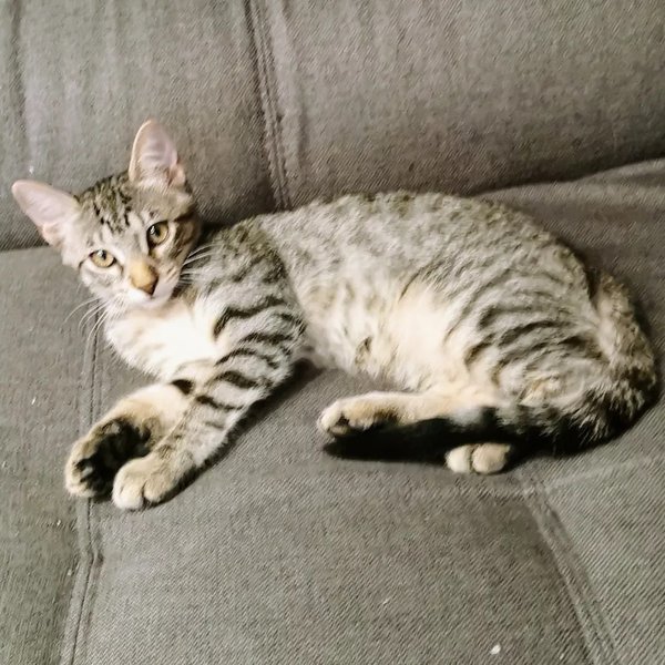 Thumbnail of p-crwzxb8ow9j-51cb0705fe4a49fb 2