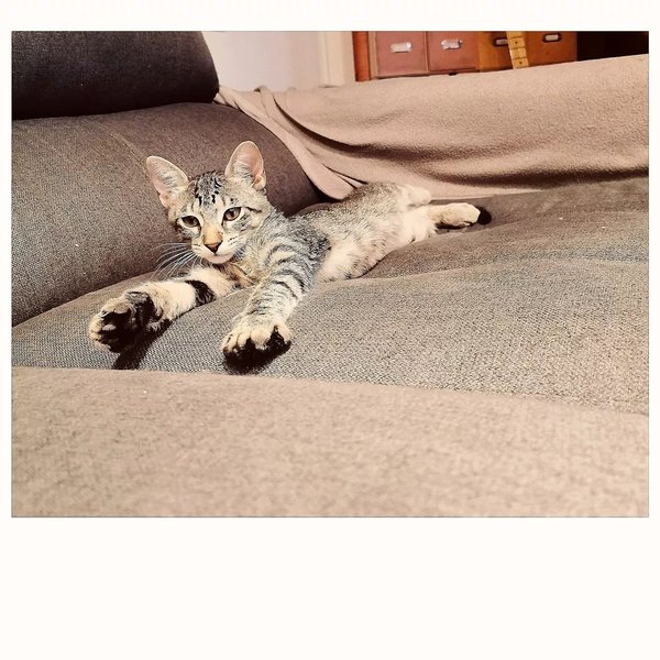 Thumbnail of p-crwzxb8ow9j-51cb0705fe4a49fb 3