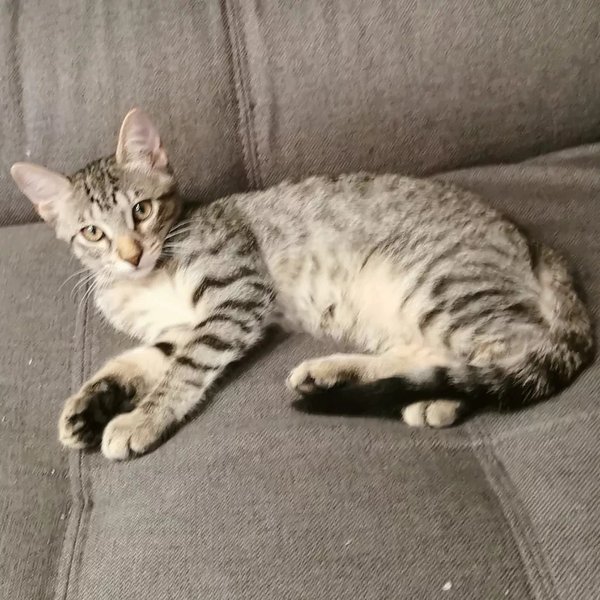 Thumbnail of p-crwzxb8ow9j-51cb0705fe4a49fb 4