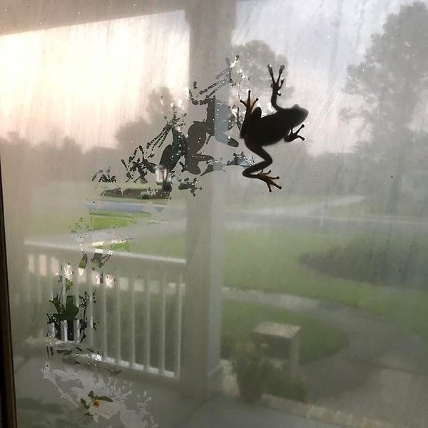 Thumbnail of p-b0zc4ksiakb-51d3a7f5344b438a 0