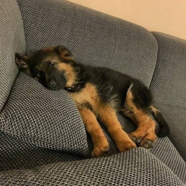 Thumbnail of p-cxetrjftq6v-51da802b7dfd41fb 0