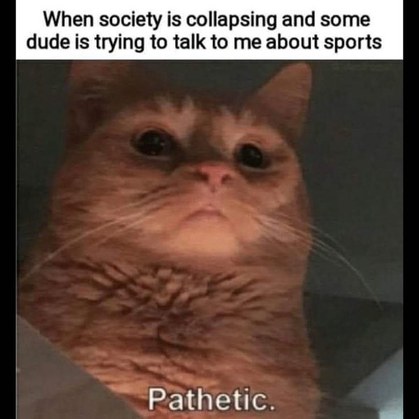 Thumbnail of p-cyuboldbnqn-51e9ea773bf540fd 0